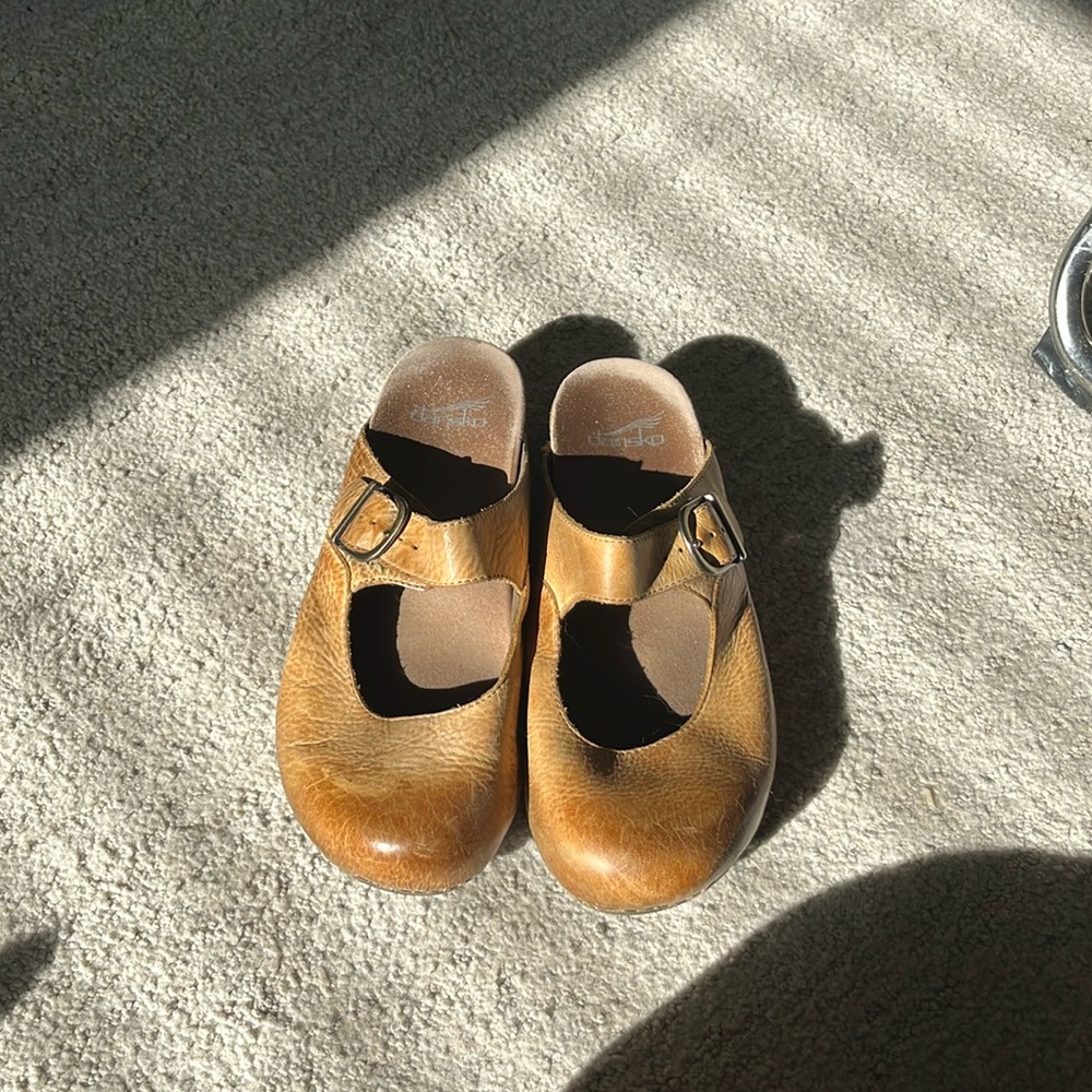 Dansko slides